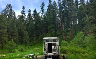 Judy T.'s photo of rv camping at Ukiah-Dale Forest State Park and Campground near Mount Vernon, OR