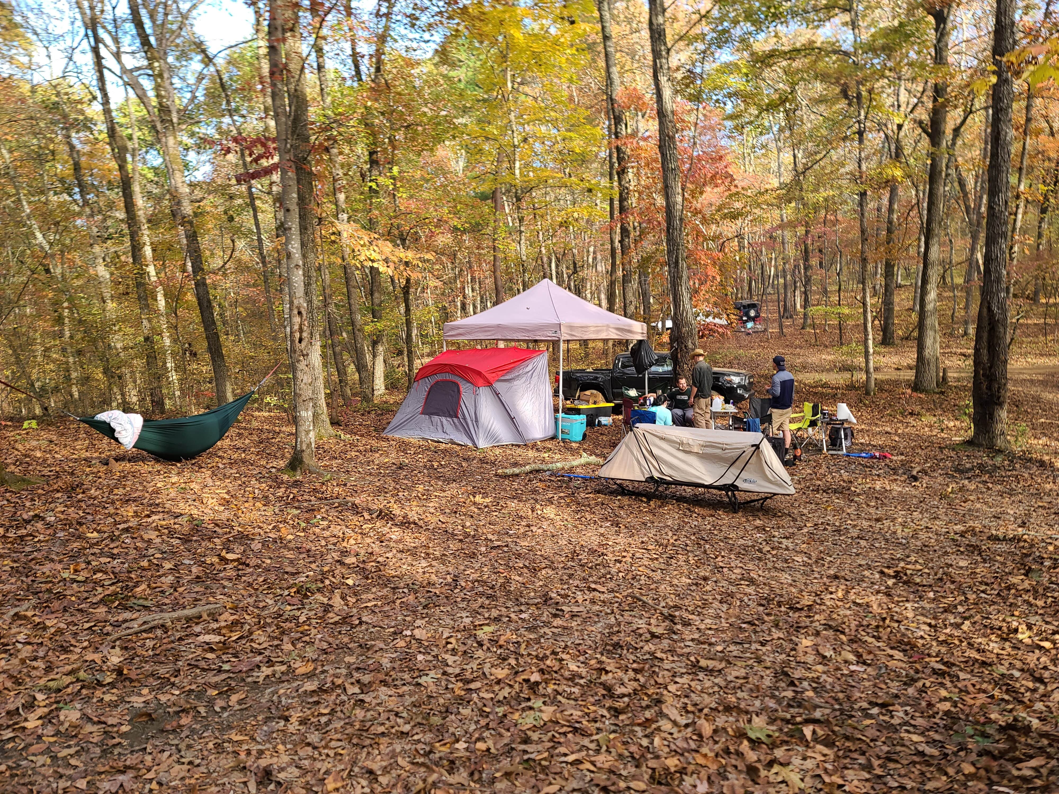 Zachary S.'s photo of a dispersed camping area at Uwharrie National Forest near Pinebluff, NC