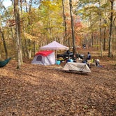 Review photo of Uwharrie National Forest by Zachary S., November 26, 2020