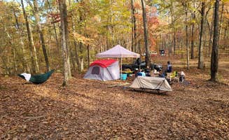 Zachary S.'s photo at Uwharrie National Forest near Robbins, NC