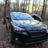 Review photo of Uwharrie National Forest by Zachary S., November 26, 2020