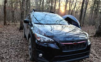 Zachary S.'s photo at Uwharrie National Forest near Rockingham, NC
