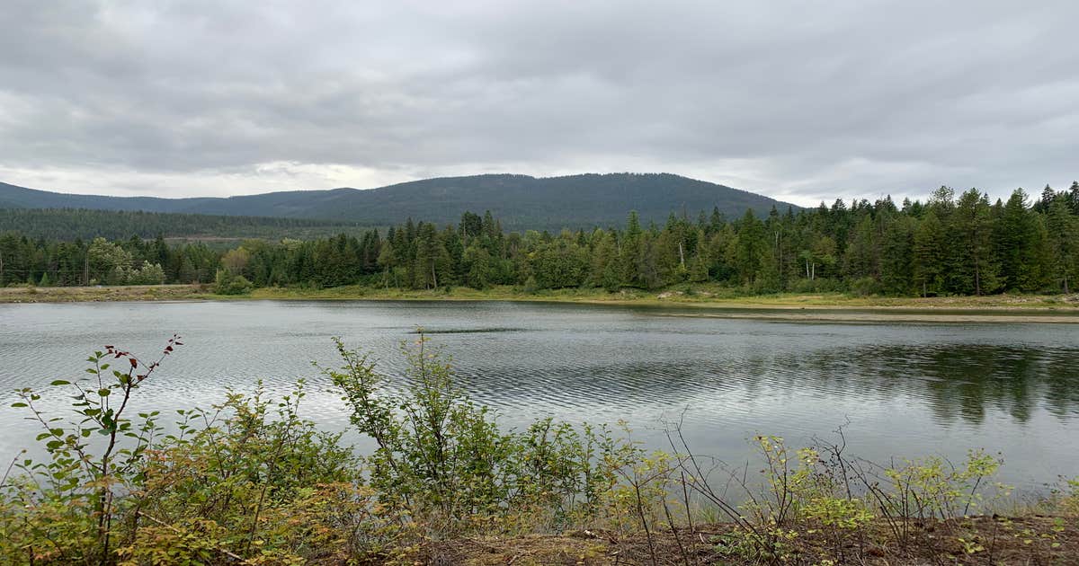 Kootenai National Forest Bull River Campground Camping | Trout Creek ...