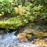 Review photo of Lost Creek State Park Campground by Judy T., November 27, 2020