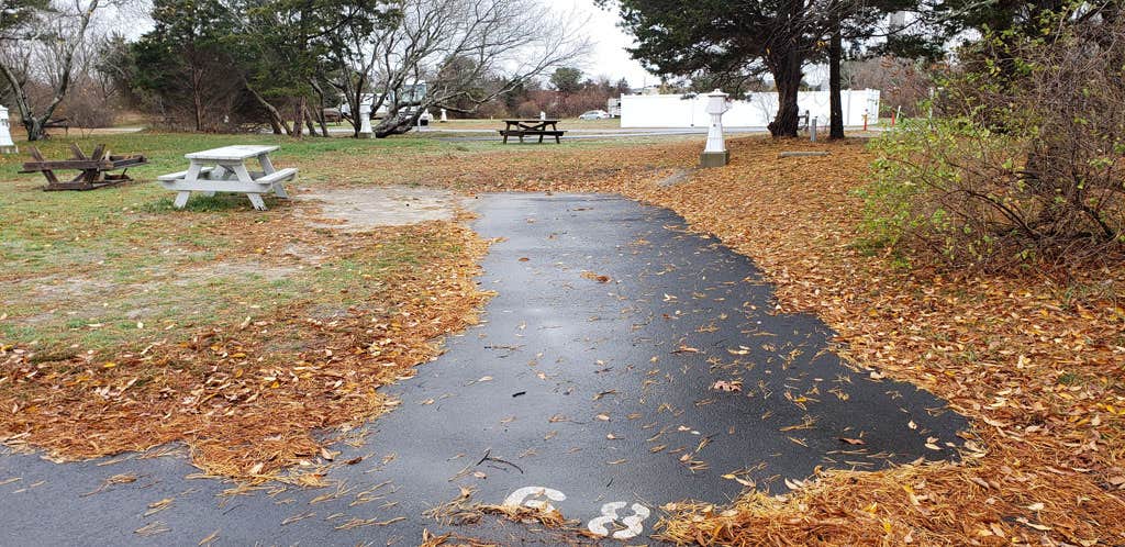 Camper-submitted photo at Scusset Beach State Reservation near South Chatham, MA