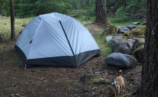 Ashley B.'s photo at Riley Horse Campground near Brightwood, OR