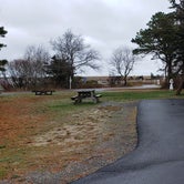 Review photo of Scusset Beach State Reservation by Jean C., November 27, 2020