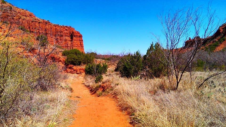 Camper-submitted photo at Honey Flat Camping Area — Caprock Canyons State Park near Plainview, TX