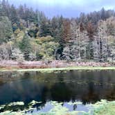 Review photo of Cape Disappointment State Park Campground by Judy T., November 27, 2020