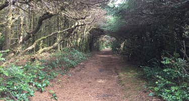 Carl G. Washburne Memorial State Park