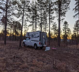 Camper-submitted photo from FR 222 Dispersed