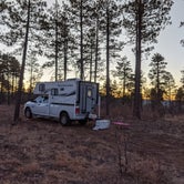 Review photo of Cocino National Forest - Rd. 535 by Brian T., November 27, 2020