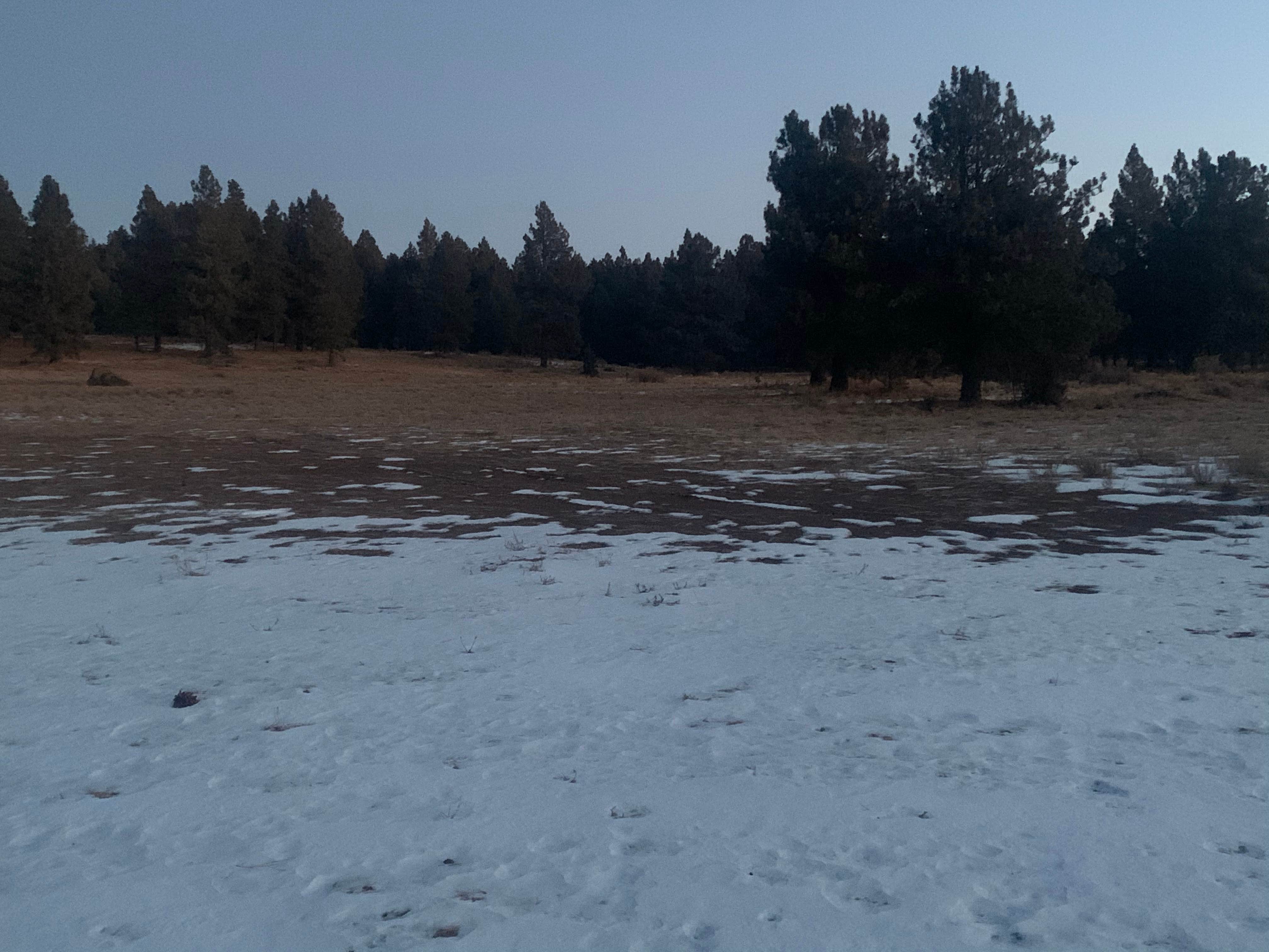 Camper-submitted photo at Uinta Flat Dispersed near Duck Creek Village, UT