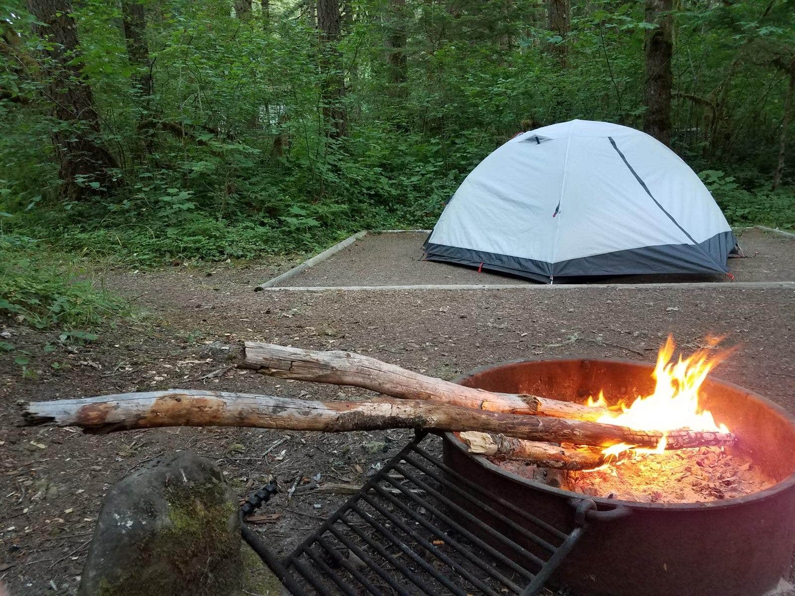Ashley B.'s photo at Rujada Campground near Dorena, OR
