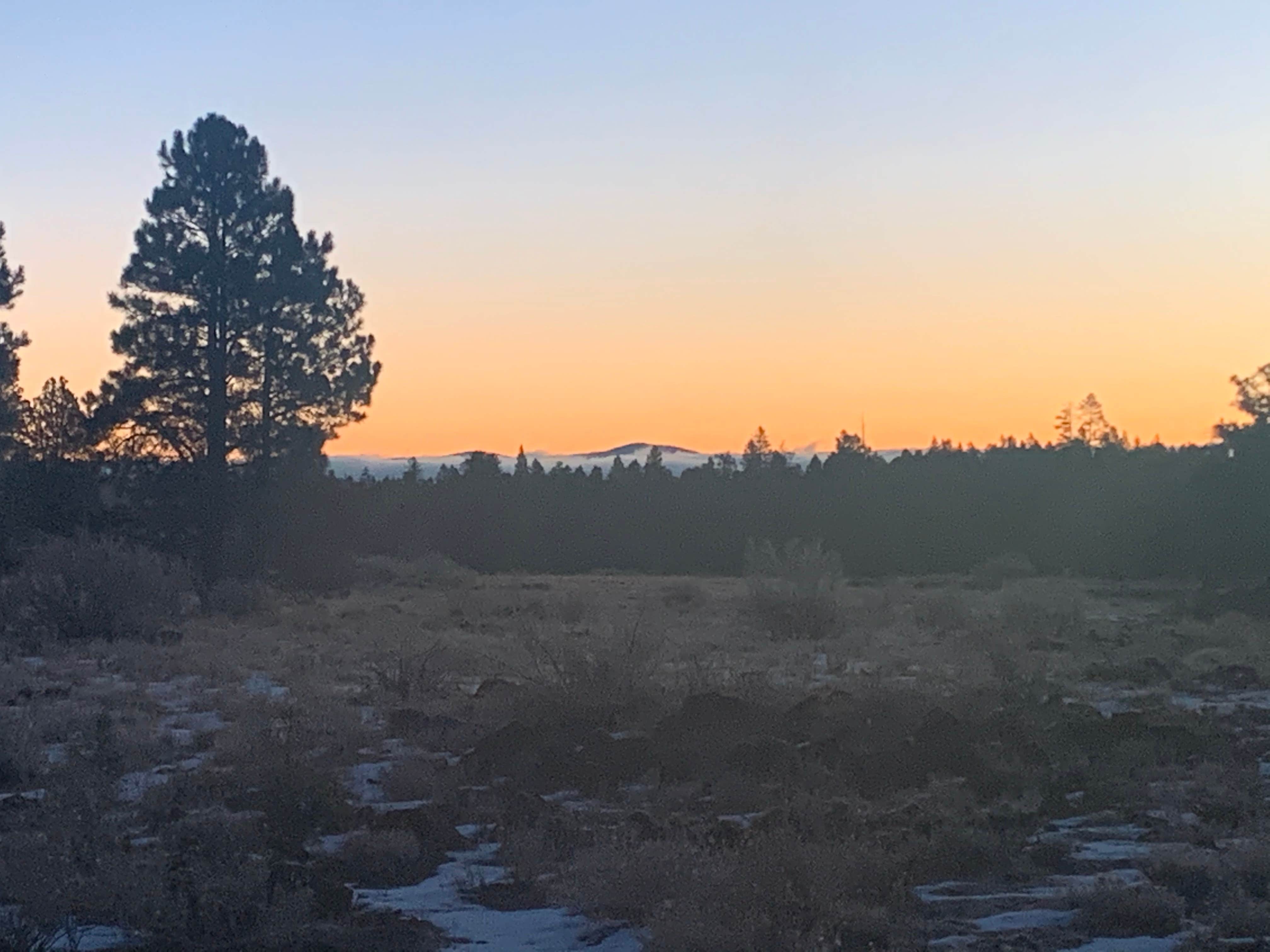 Cheri C.'s photo of a dispersed camping area at Uinta Flat Dispersed near Duck Creek Village, UT