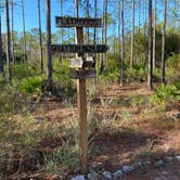 Review photo of Grayton Beach State Park Campground by Lisa N., November 27, 2020