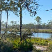 Review photo of Grayton Beach State Park Campground by Lisa N., November 27, 2020