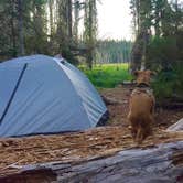 Review photo of Clackamas Lake by Ashley B., May 24, 2018