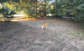 Michael's photo of camping with pets at Magnolia Oaks RV Park near College Station, TX