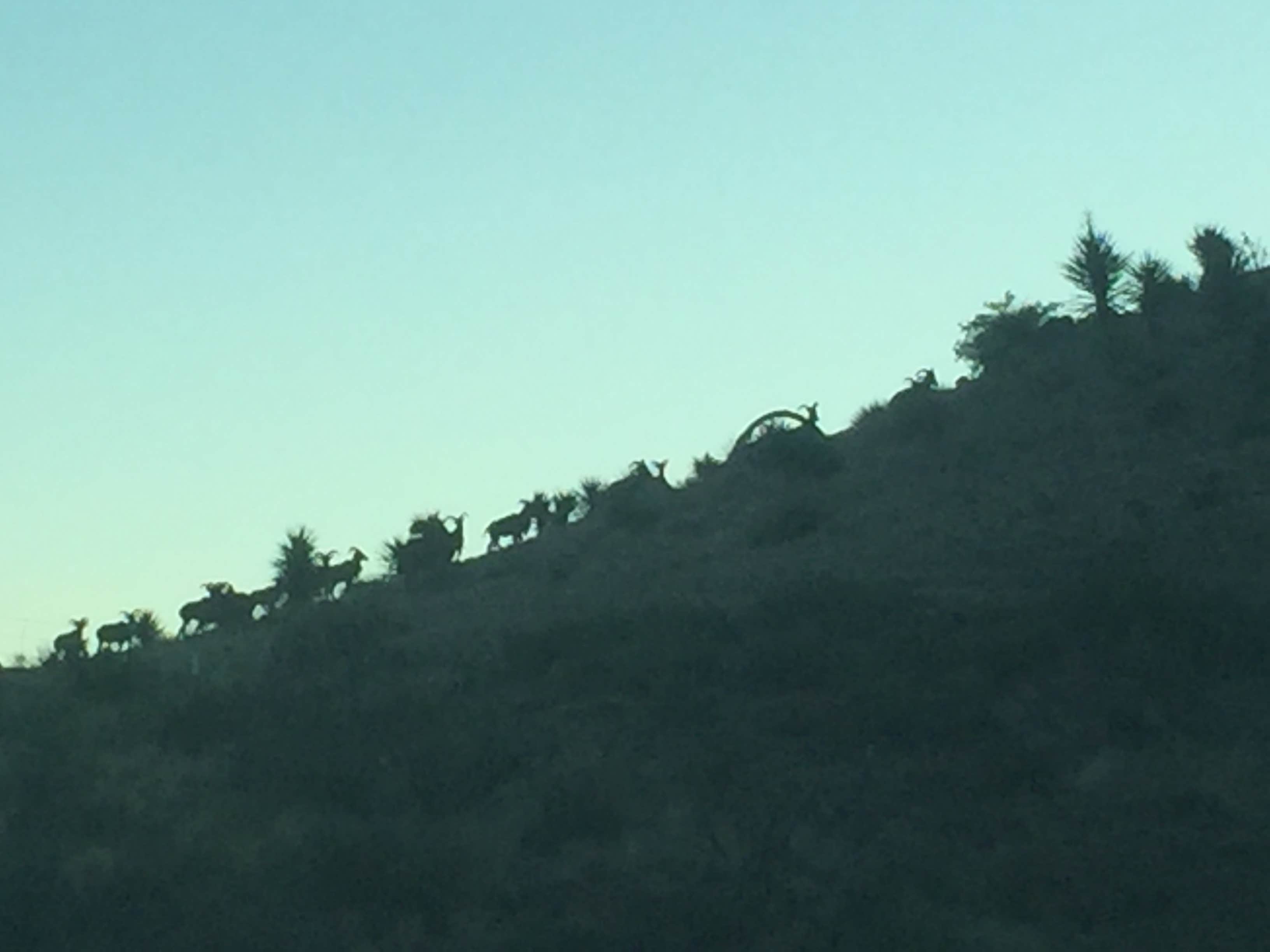 Camper submitted image from Historic Prude Ranch - 5