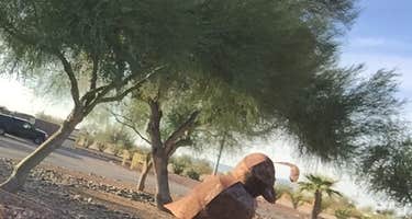 Sonoran Desert RV Park