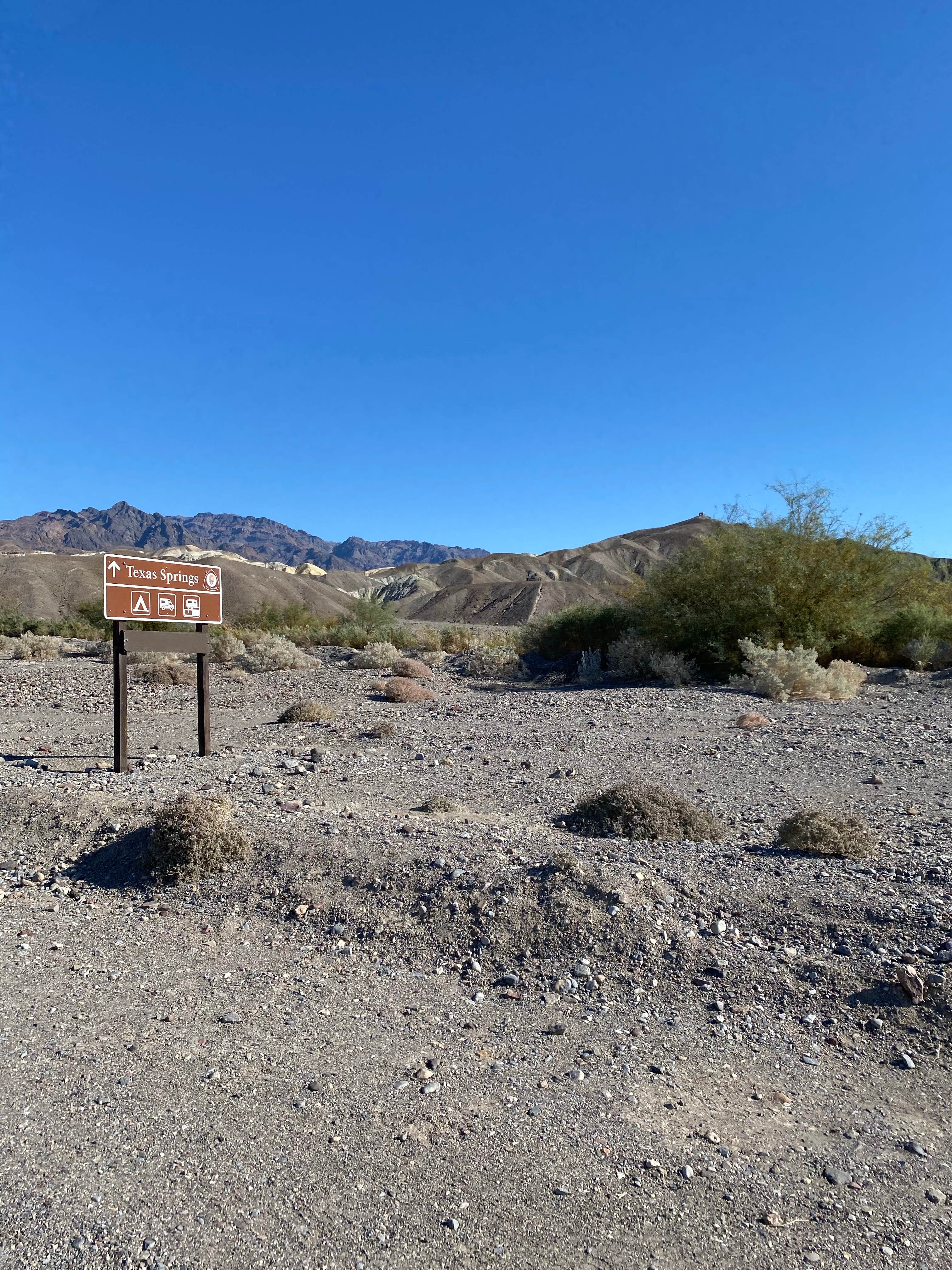 Camper submitted image from Texas Springs Campground — Death Valley National Park - 5