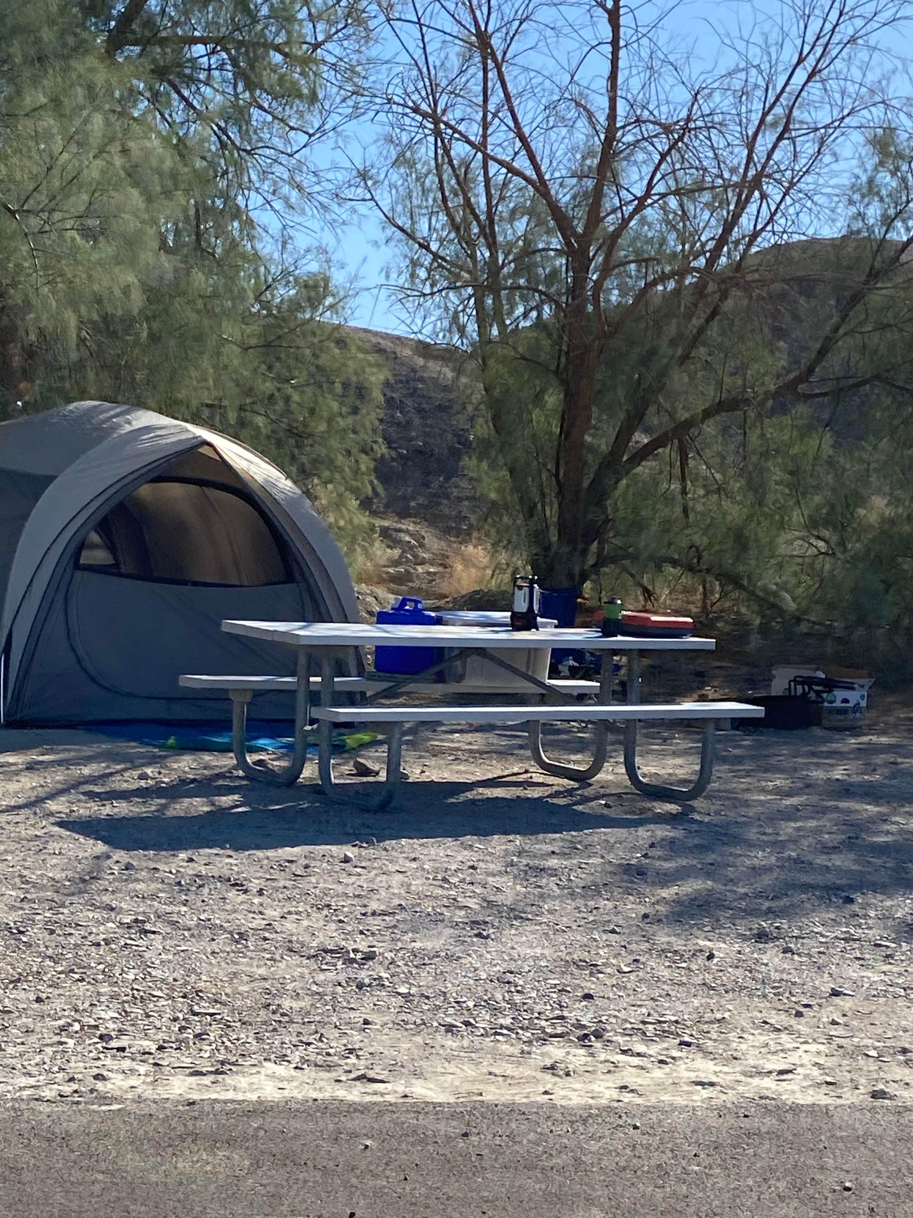 Brittney  C.'s photo at Texas Springs Campground — Death Valley National Park near Death Valley National Park
