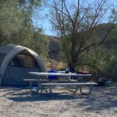 Review photo of Texas Springs Campground — Death Valley National Park by Brittney  C., November 27, 2020