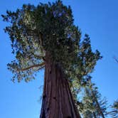 Review photo of Sierra National Forest Summerdale Campground by Manny R., November 27, 2020