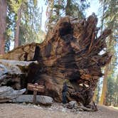 Review photo of Sierra National Forest Summerdale Campground by Manny R., November 27, 2020