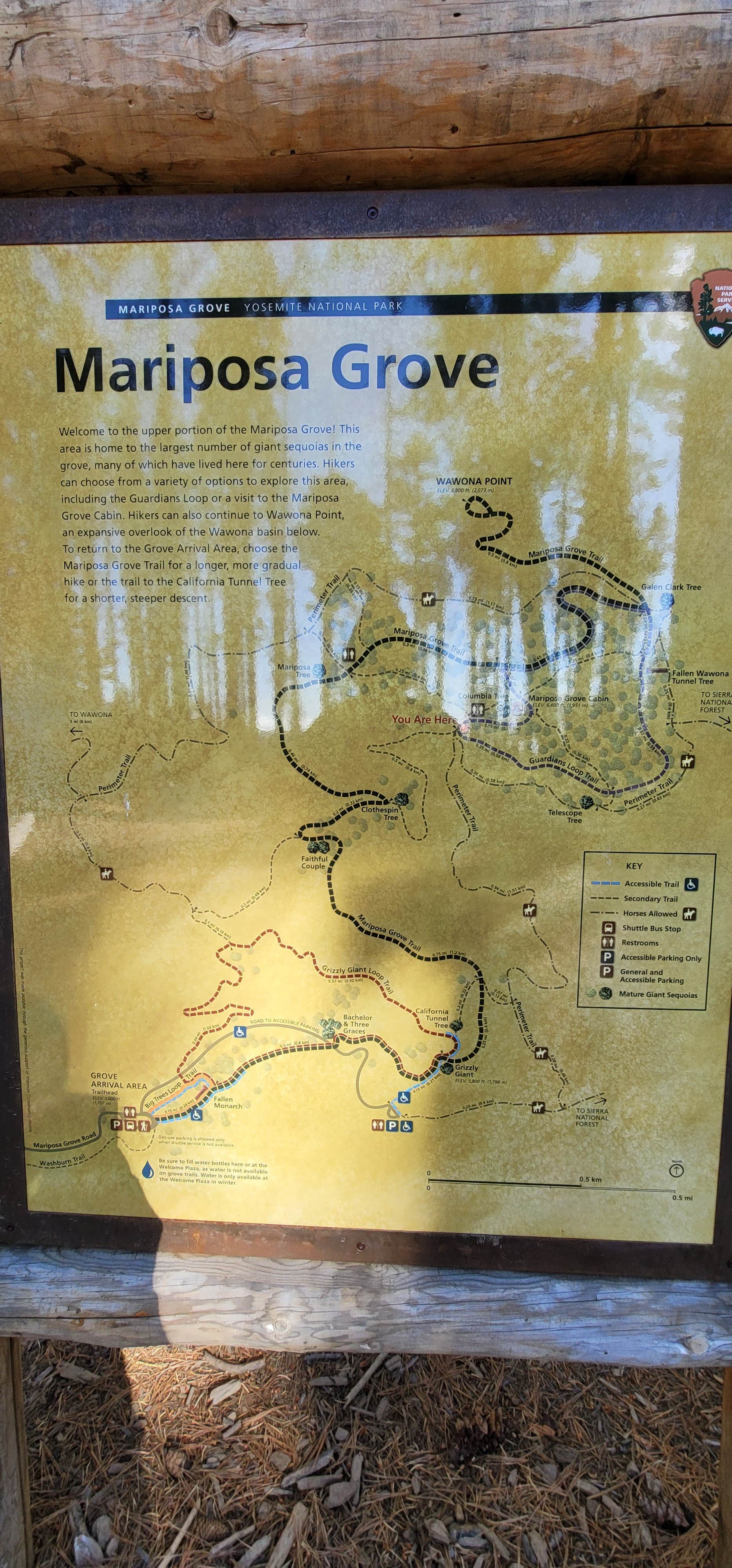 Signs & Maps