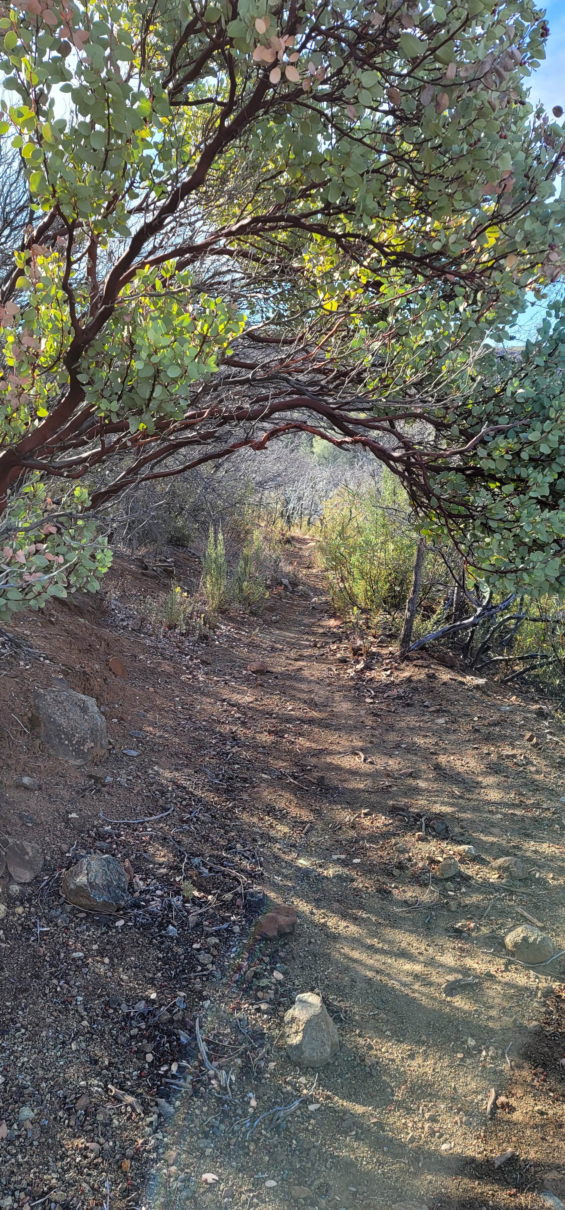 Camper-submitted photo at Lower Hunting Creek Campground near Dixon, CA