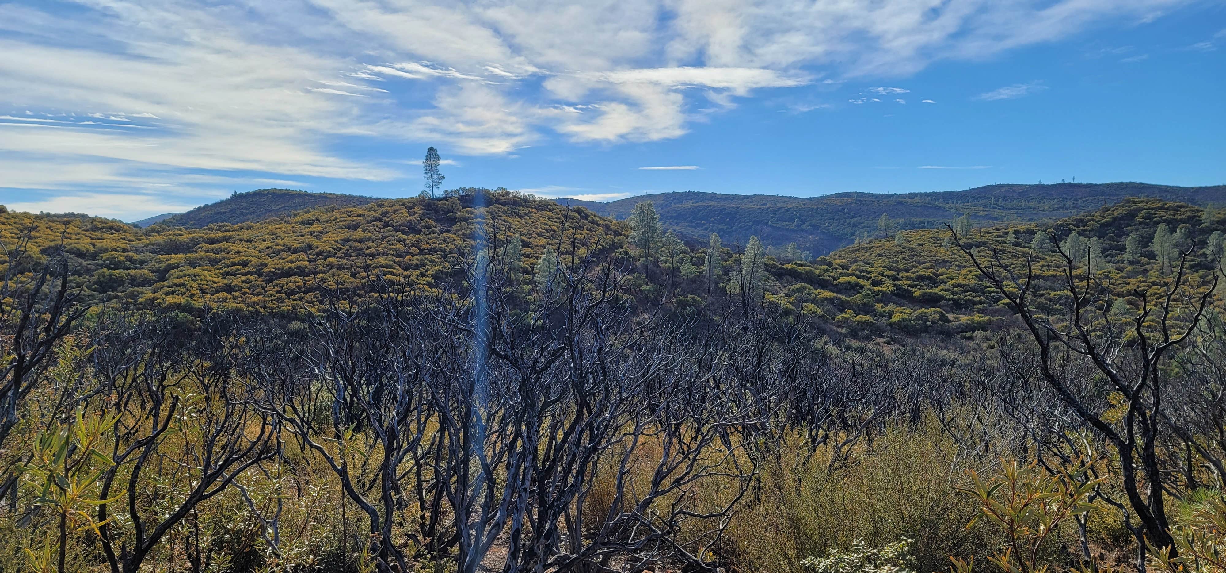 Camper submitted image from Lower Hunting Creek Campground - 2