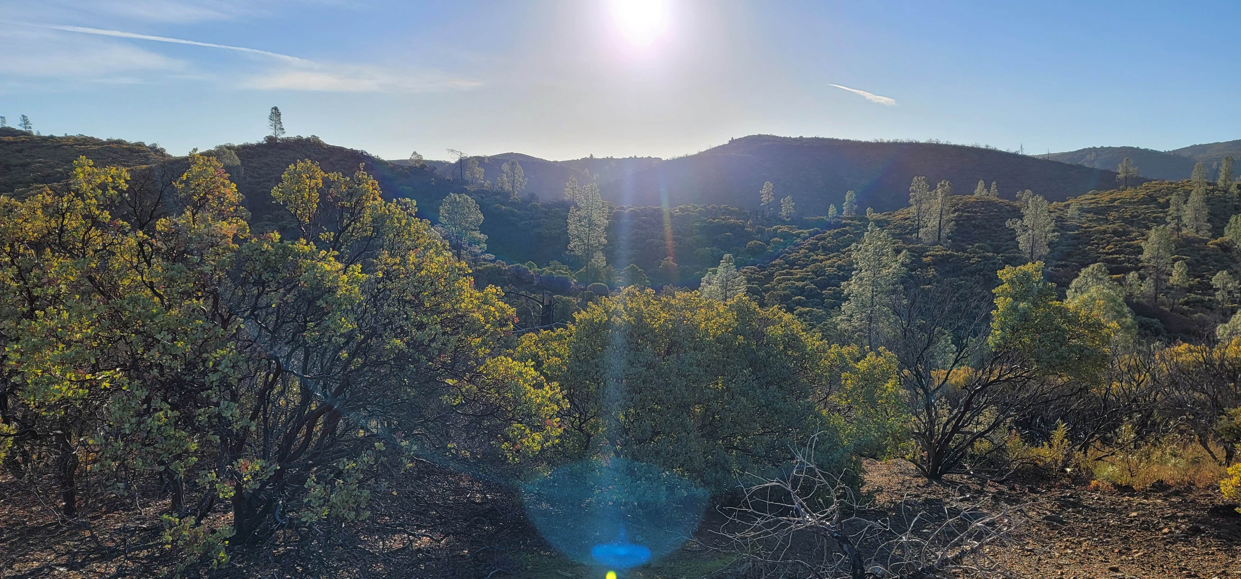 Camper-submitted photo at Lower Hunting Creek Campground near Dixon, CA
