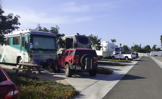 Michael's photo of rv camping at Olive Avenue RV Resort near Pauma Valley, CA