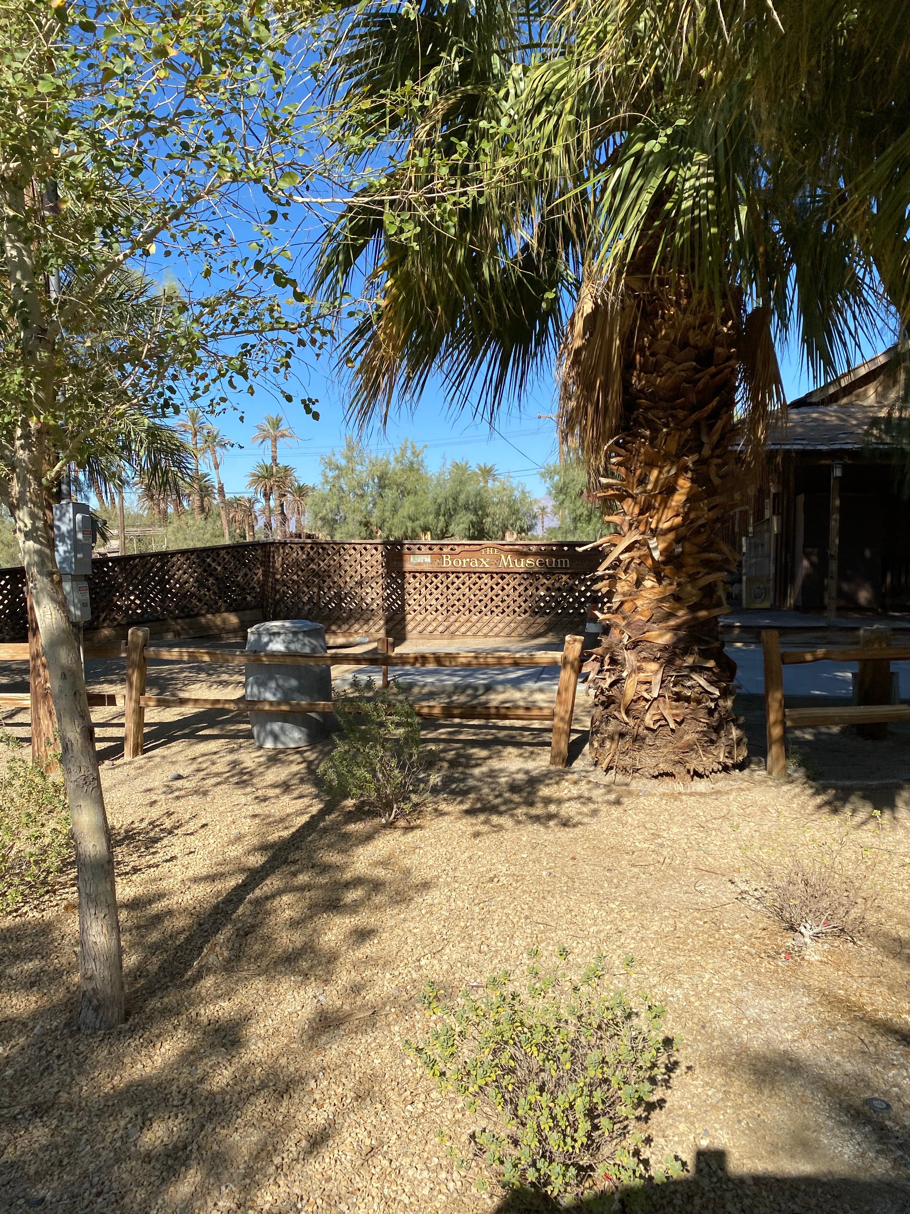 Camper submitted image from The Oasis at Death Valley Fiddlers' Campground - 5