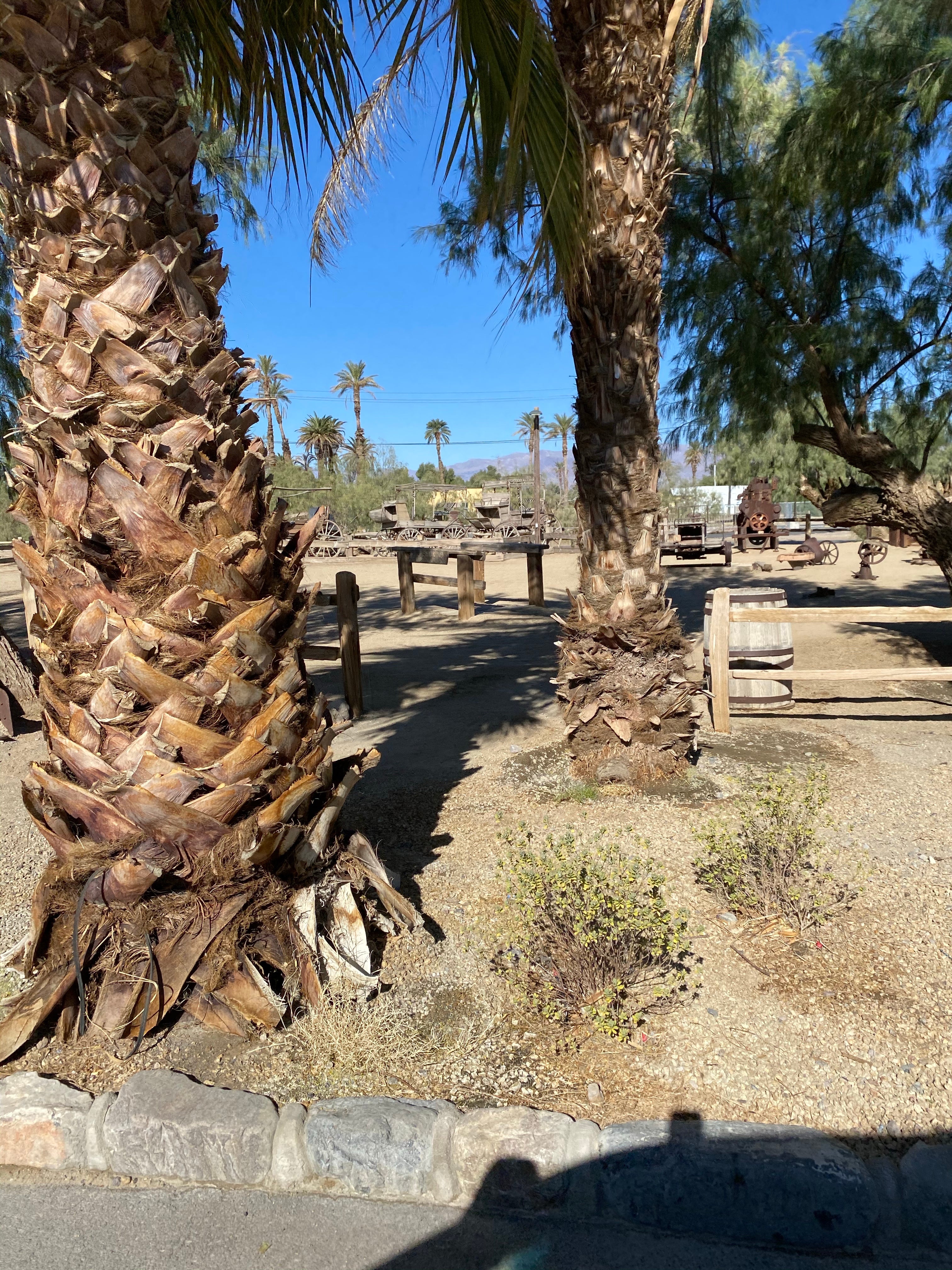 Camper submitted image from The Oasis at Death Valley Fiddlers' Campground - 2
