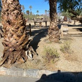 Review photo of The Oasis at Death Valley Fiddlers' Campground by Brittney  C., November 27, 2020