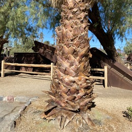 The Oasis at Death Valley Fiddlers' Campground