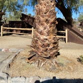 Review photo of The Oasis at Death Valley Fiddlers' Campground by Brittney  C., November 27, 2020