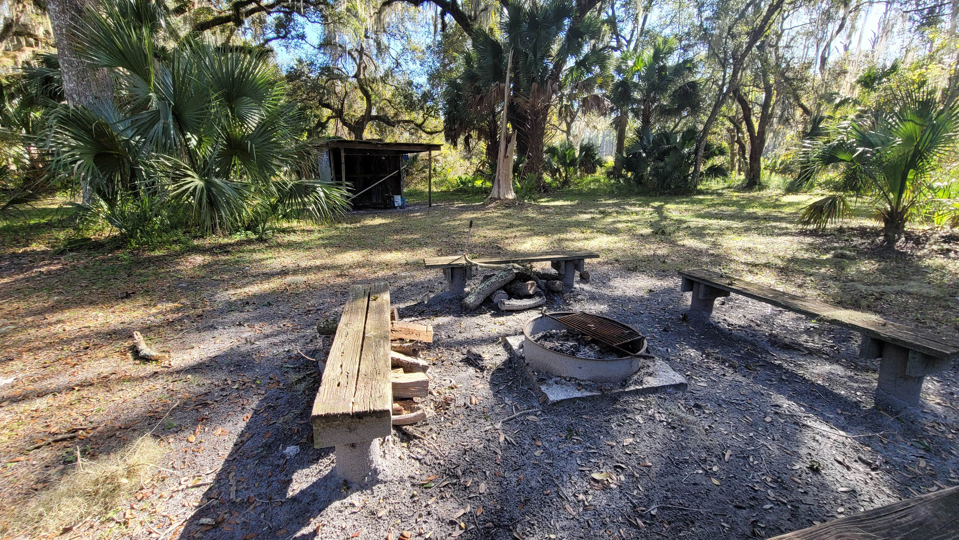 Camper-submitted photo at Lake George Conservation Area near Bunnell, FL