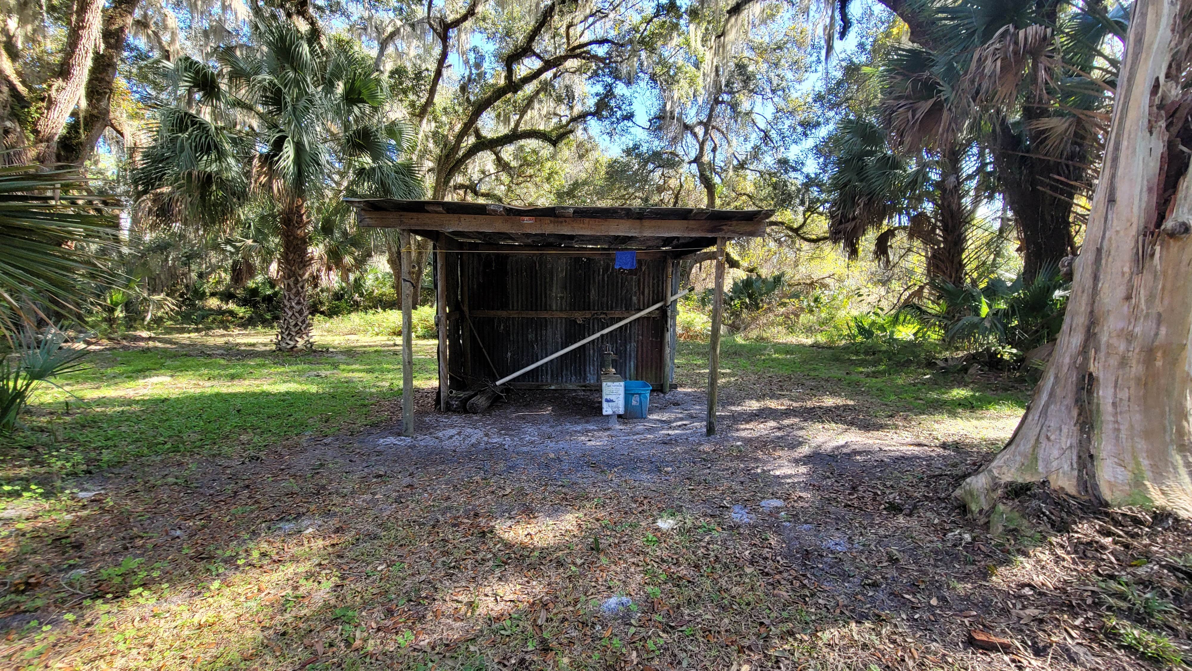 Camper-submitted photo at Lake George Conservation Area near Bunnell, FL