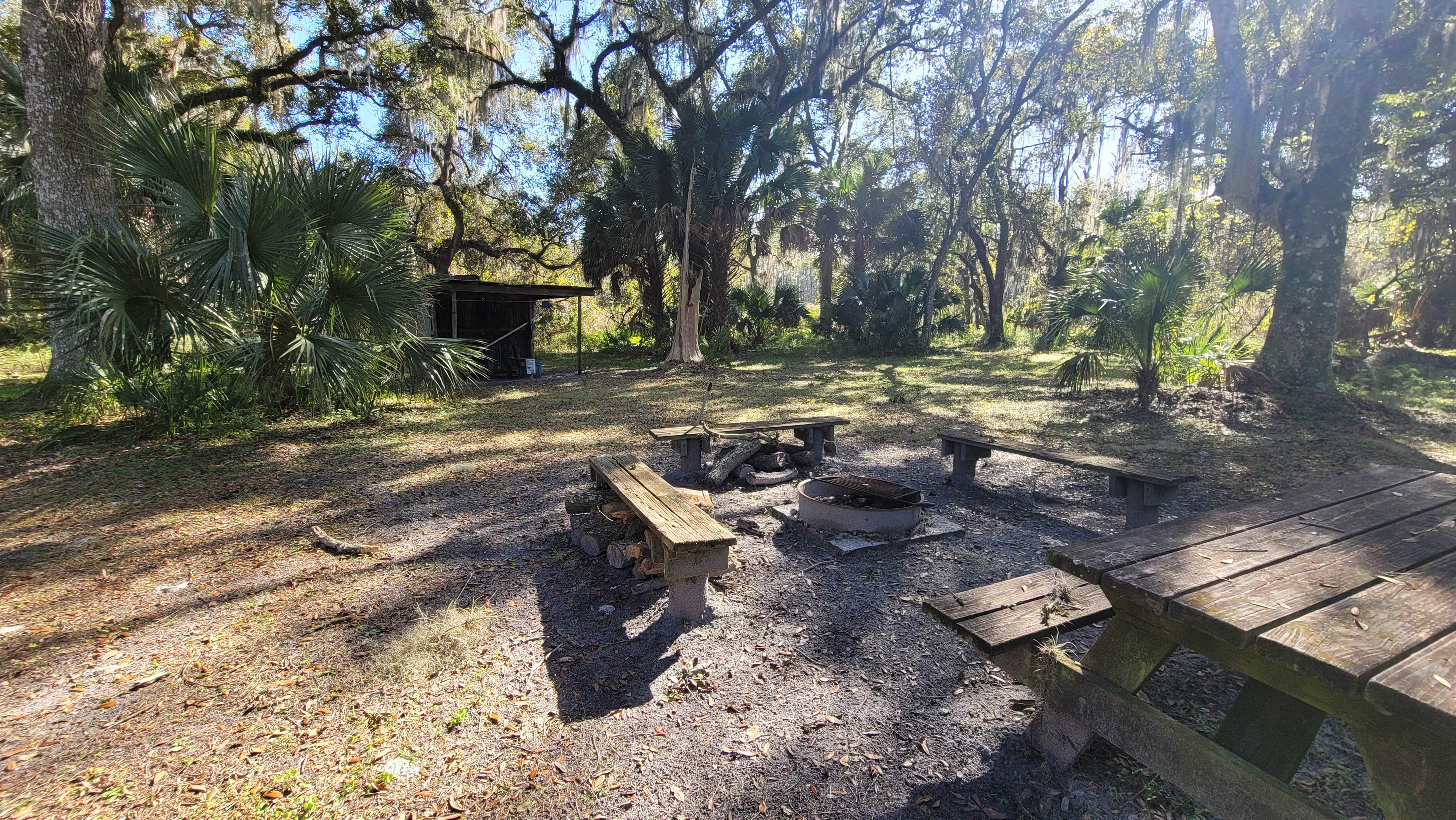 Camper-submitted photo at Lake George Conservation Area near Bunnell, FL
