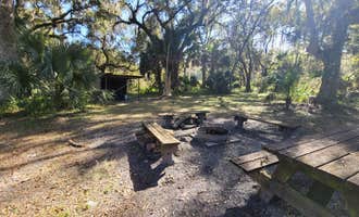 Camping near Gamble Rogers Memorial State Recreation Area at Flagler Beach: Lake George Conservation Area, Ormond Beach, Florida