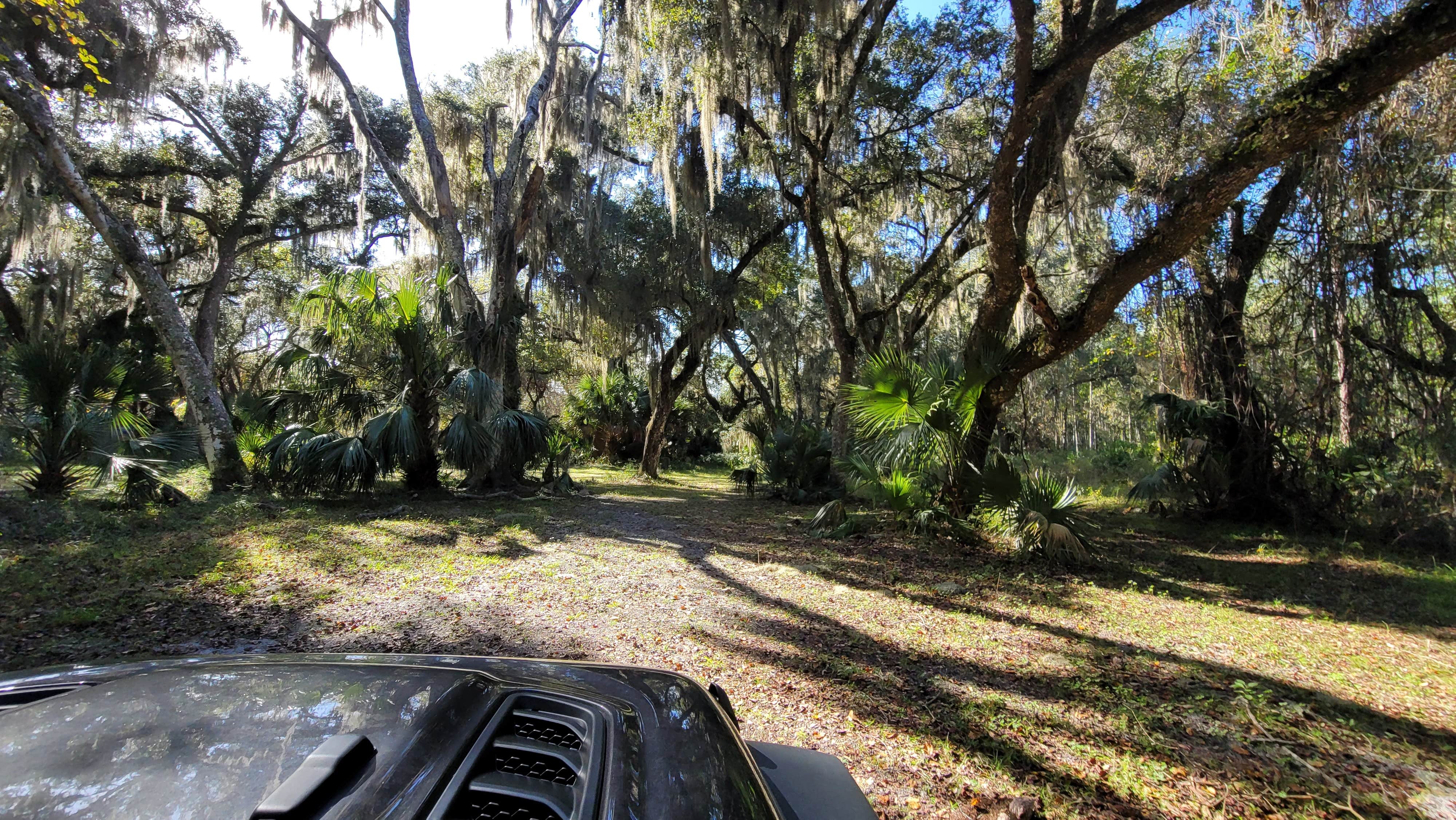 Camper submitted image from Lake George Conservation Area - 2