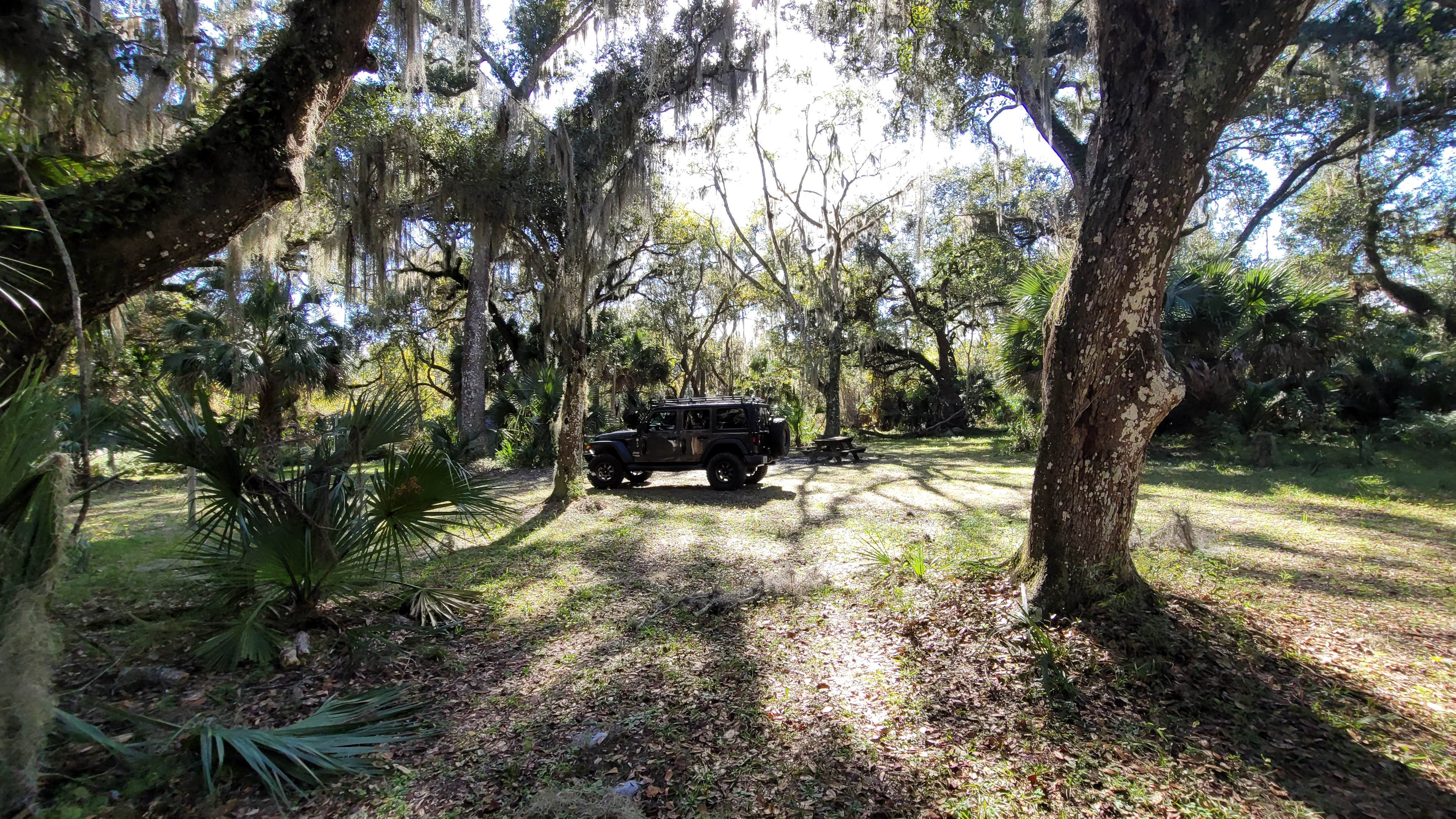 Camper-submitted photo at Lake George Conservation Area near Bunnell, FL