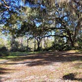 Review photo of Lake George Conservation Area by Marlene V., November 27, 2020