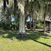 Review photo of Seminole Ranch Conservation Trailhead by Marlene V., November 27, 2020