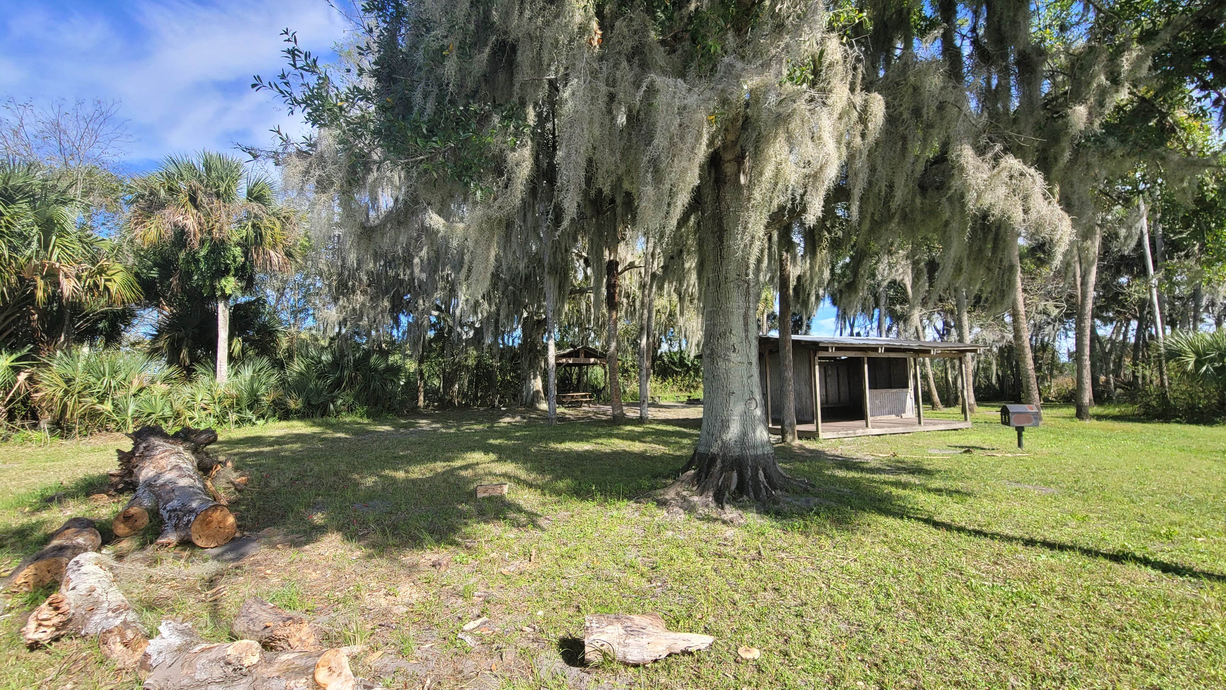 Camper-submitted photo at Seminole Ranch Conservation Trailhead near Sharpes, FL