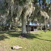 Review photo of Seminole Ranch Conservation Trailhead by Marlene V., November 27, 2020